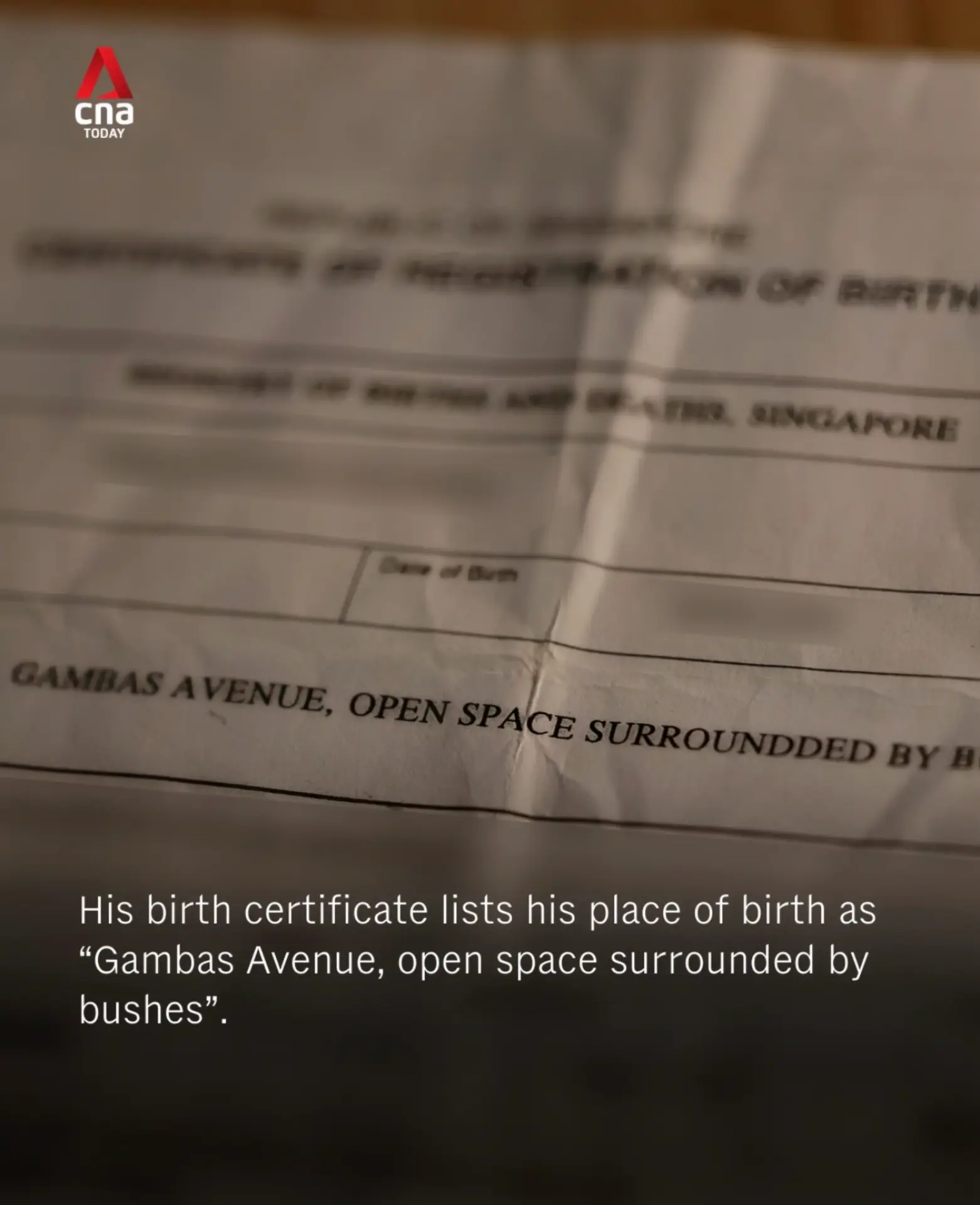 Dino's birth certificate listing Gambas Avenue, open space surrounded by bushes